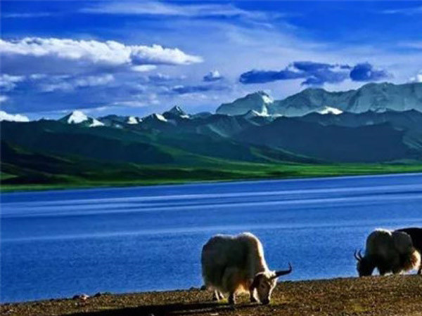 公司成功舉辦“慶元旦、迎新春”長跑比賽